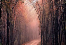 中超第3轮山东泰山落后3球情况下逆转4-3绝杀梅州升至第二位.