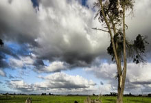 乐虎体育:阿森納小將奈爾斯高速遭遇事故 與別車相撞發生側翻.