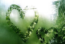 巅峰对决!@孙颖莎 @王曼昱 登场,争夺亚洲杯女单冠军!.